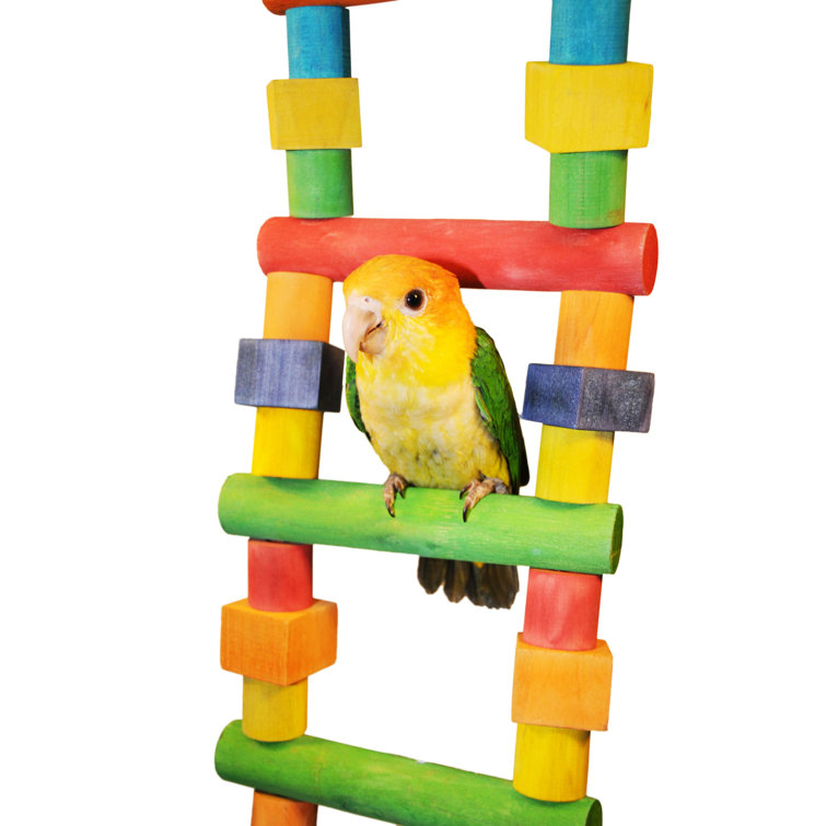 A&E Cage Co. 42" Hanging Bird Ladder Wayfair